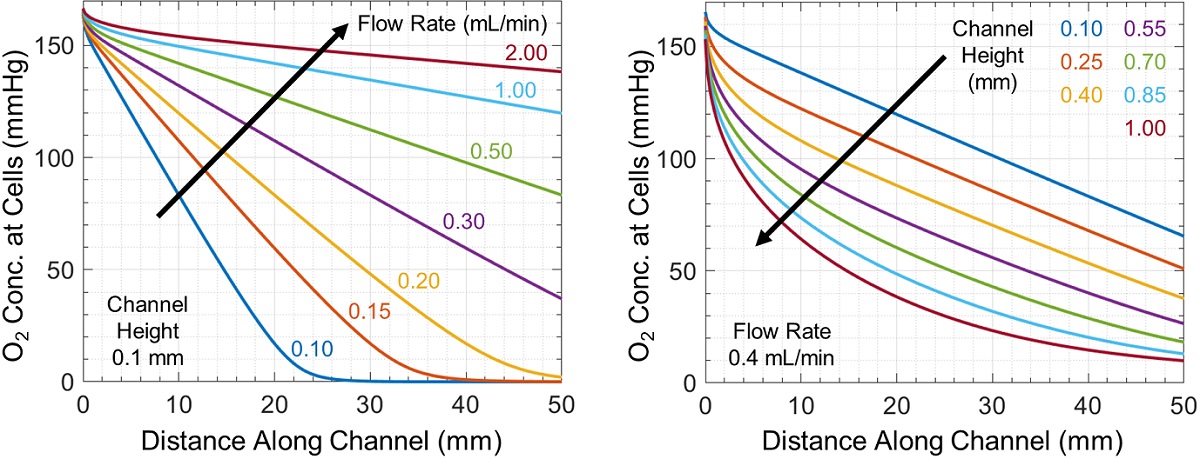Oxygen concentration at the cell monolayer as a function of distance along the microchannel 