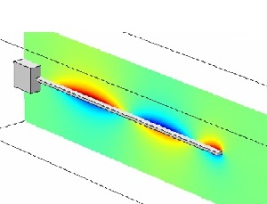 Structural-Acoustic Analysis of Immersed Beam