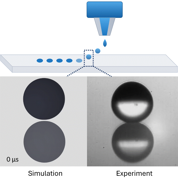 Animation of a water droplet impacting a solid substrate