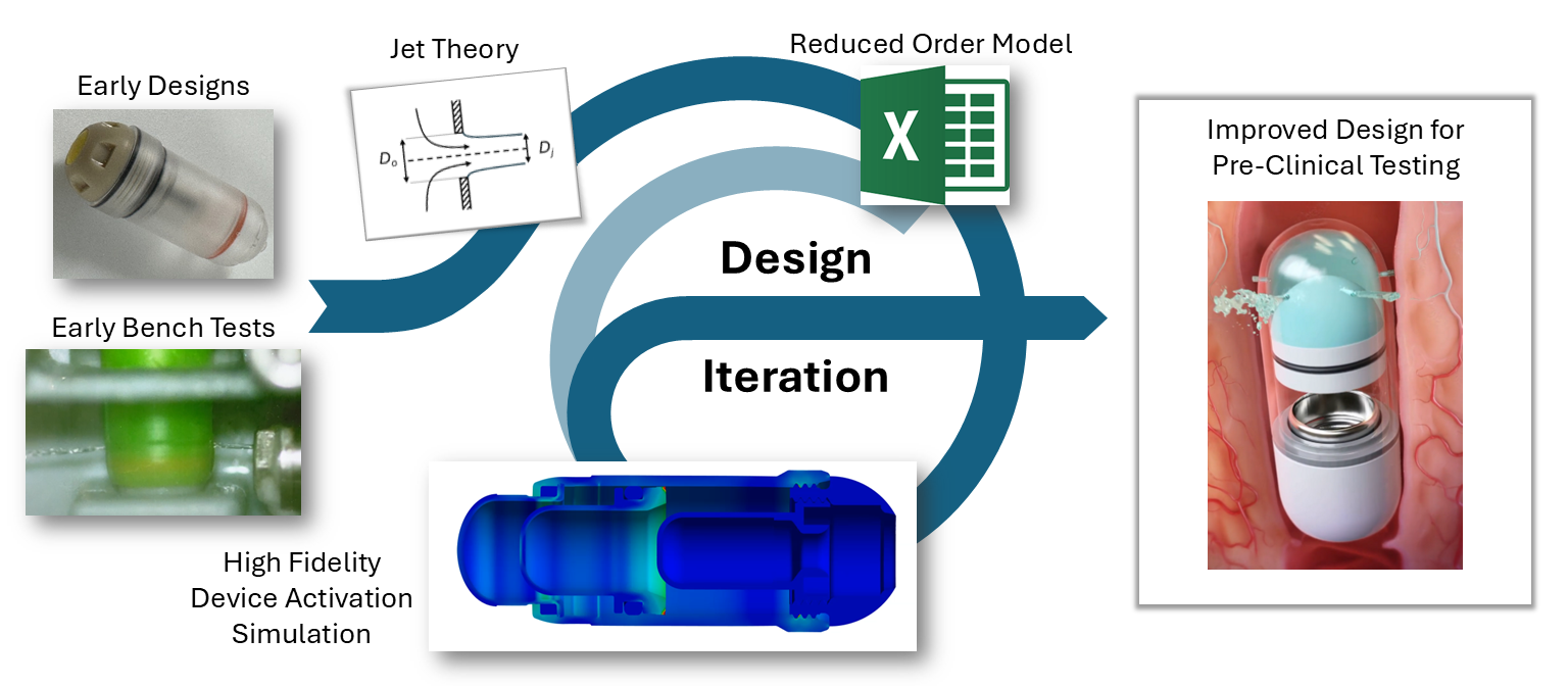 Biora Workflow Figure