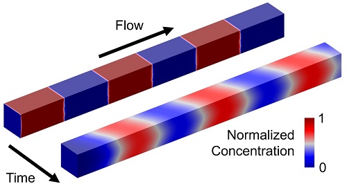 A microfluidic channel contains alternating fluid slugs, one of which contains a reagent (red) and the other of which (blue) does not.  Adjacent fluid components mix together over time in this advection-diffusion problem.