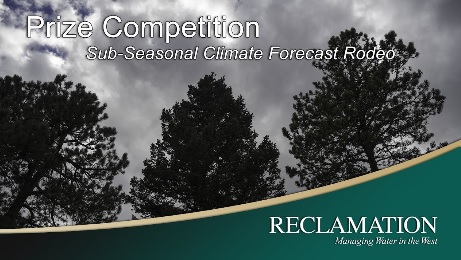 Climate forecast rodeo