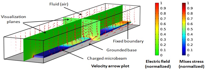 FSI of MEMS Switch