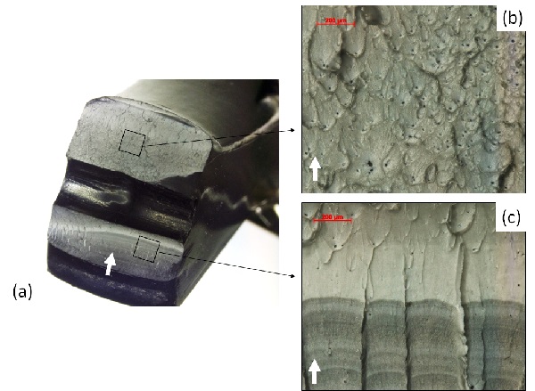 Fatigue Failure of a Plastic Lever Fracture Surfaces
