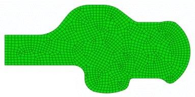 Hot Forging Simulation cross-section