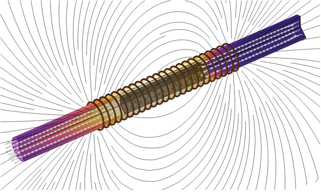 Induction heating of a catalytic reactor
