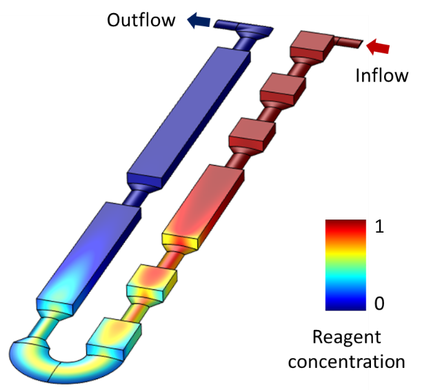 Microfluidic flow and transport