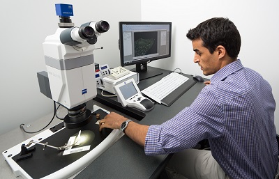 Microscope in Use