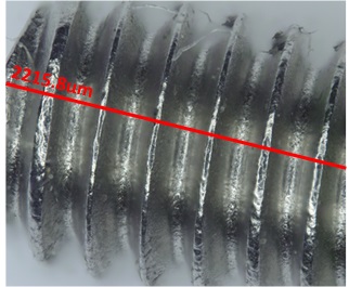 Microscopy screw 1