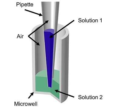 Geometry of a micropipette tip and microwell filled with different solutions