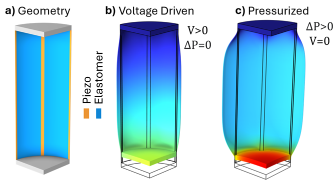 Geometry of piezoelectrically artificial muscle ABC