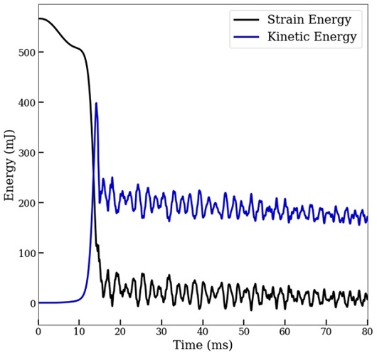 Kinetic and strain energy temporal evolution following the release of the popper immediately after its inversion