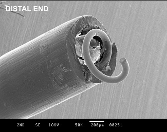 SEM of Fractured Catheter 50x