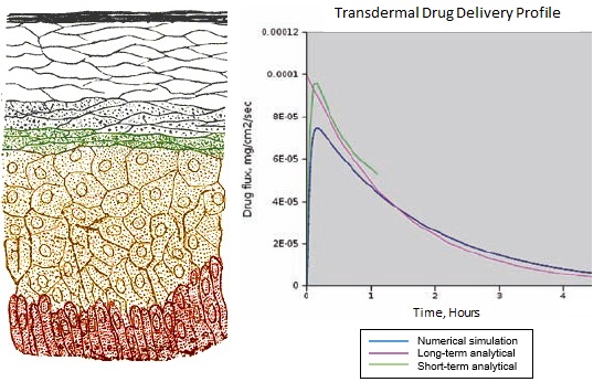 Transdermal Drug Delivery Drug Flux