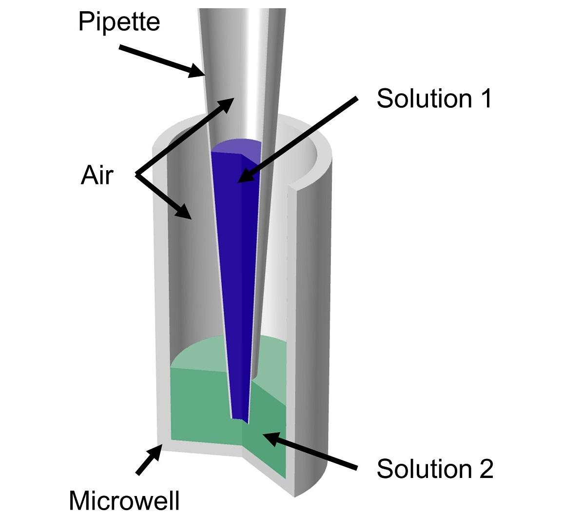 Geometry of a micropipette tip and microwell filled with different solutions