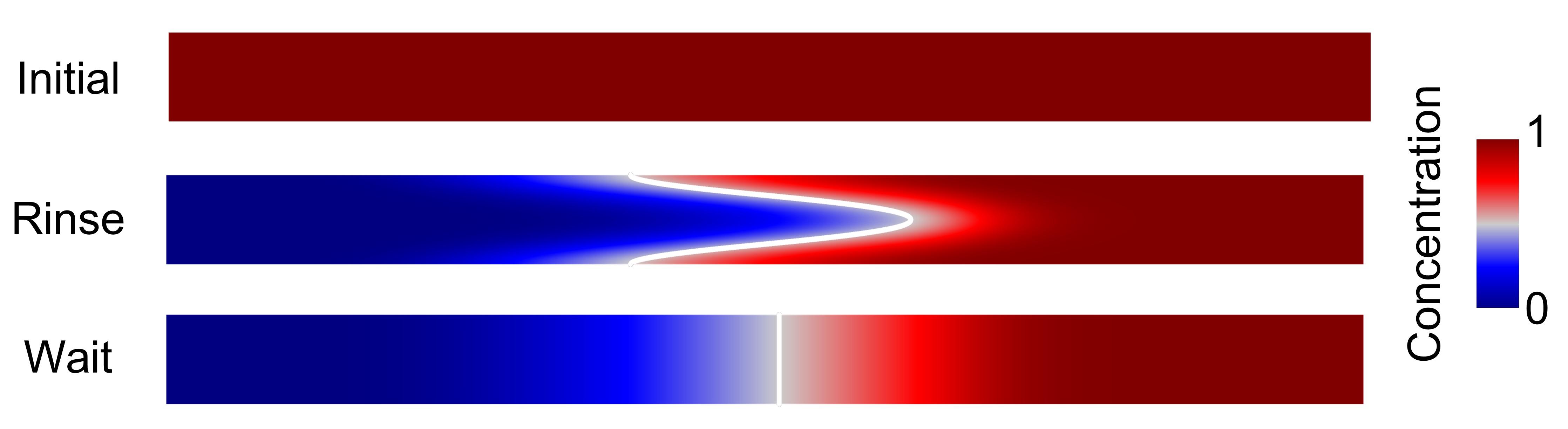 Microfluidic channel and concentration gradients