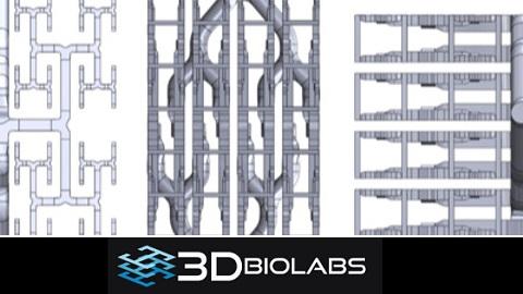 Collage for 3D BioLabs plus logo