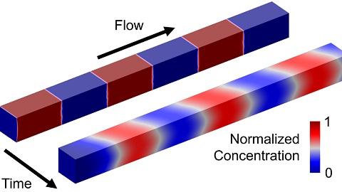 A microfluidic channel contains alternating fluid slugs, one of which contains a reagent (red) and the other of which (blue) does not.  Adjacent fluid components mix together over time in this advection-diffusion problem.