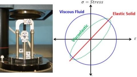DMA can be used to measure the viscoelastic properties of polymers, and time-temperature superposition can extend the DMA’s measurement window.