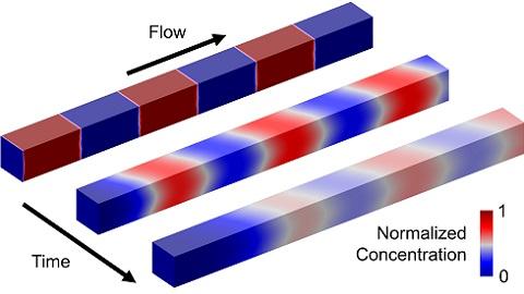 Chemical concentration gradients grow as fluidic segments flow in a microchannel. 