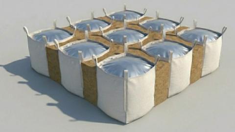 Graphyte biomass storage