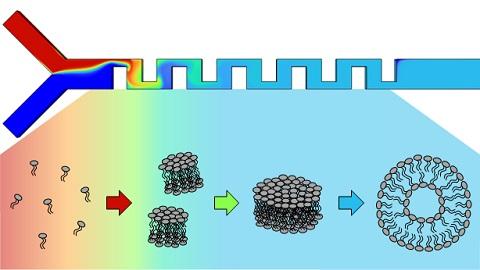 Lipid Nanoparticle Self-assembly for mRNA Vaccine Production