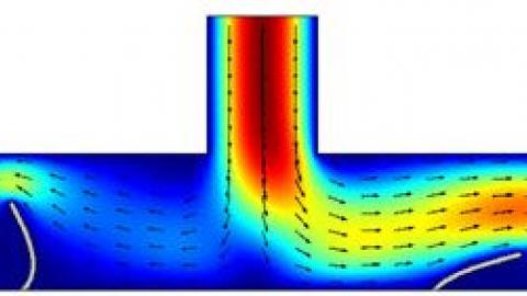 Fully coupled fluid-structure interaction in a valveless micropump design
