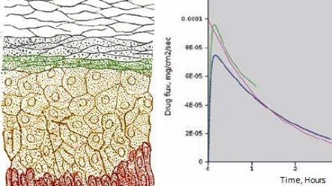 Transdermal Drug Delivery 