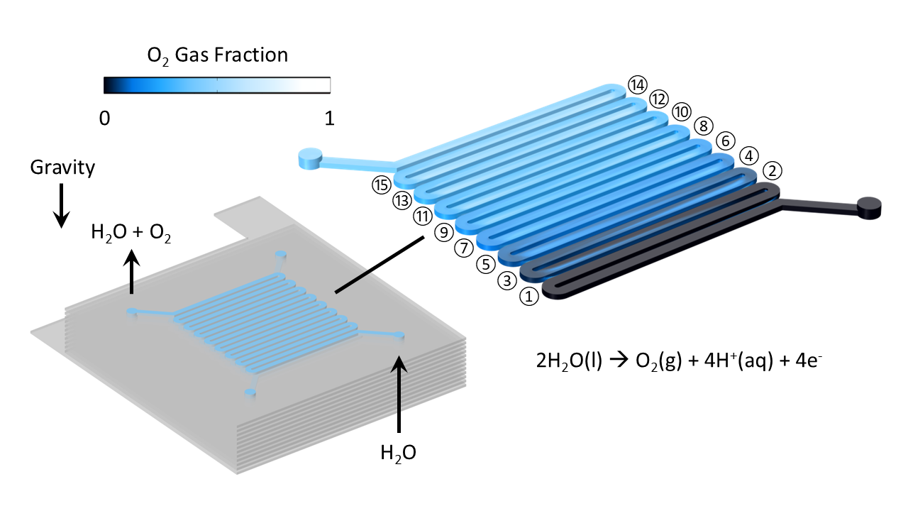 Figure 2: Simulated oxygen gas distribution in the anodic flow channels resulting from water electrolysis. The flow channels passing over the GDL are numbered in sequence.