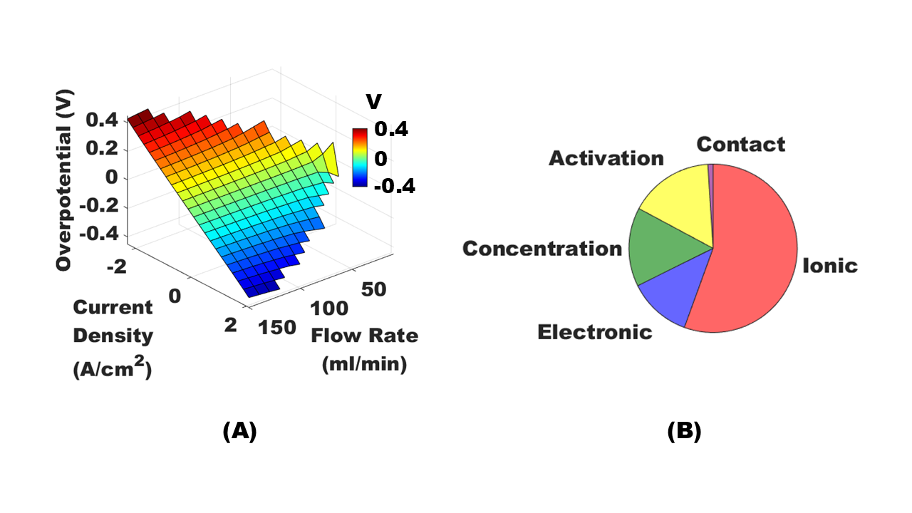 Cell polarization and relative voltage losses.