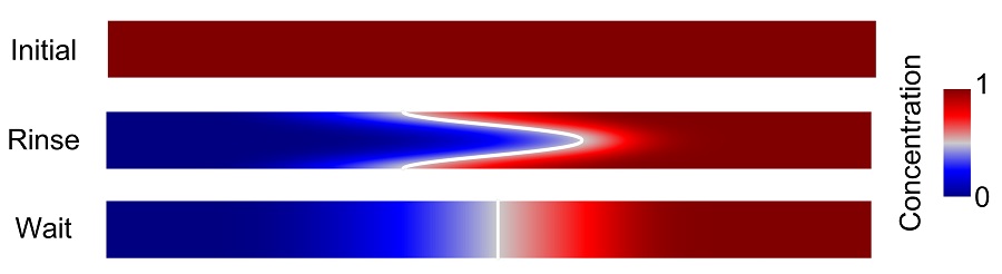 Microfluidic channel and concentration gradients