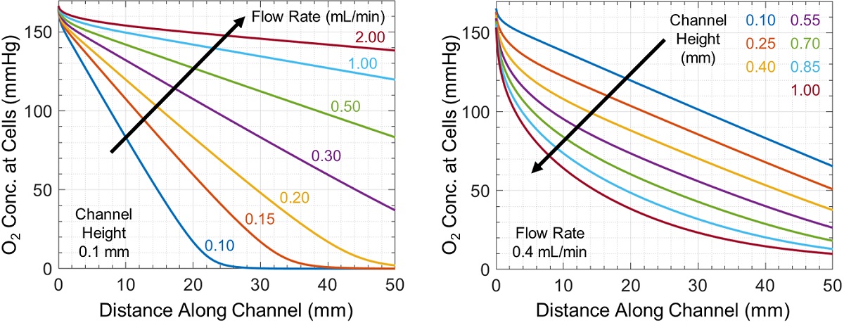 Oxygen concentration at the cell monolayer as a function of distance along the microchannel
