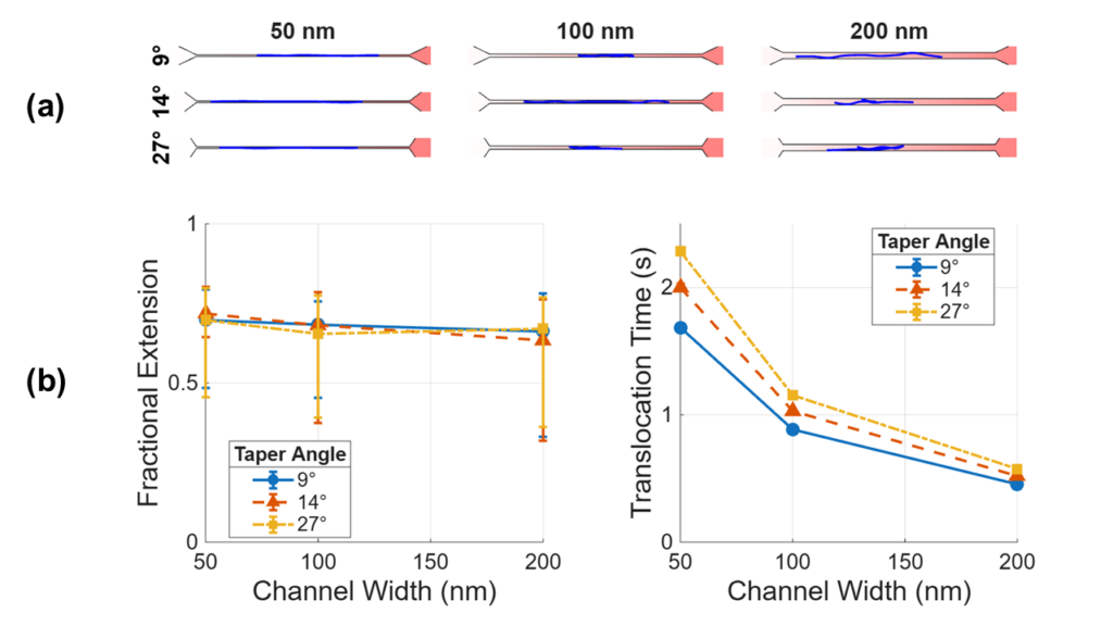 Fractional extension and translocation time for different channel designs.